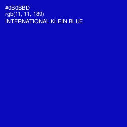 #0B0BBD - International Klein Blue Color Image